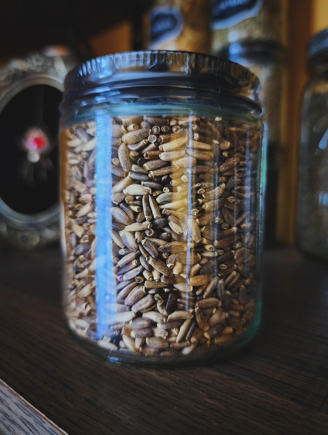 Milk Thistle seeds (organic)