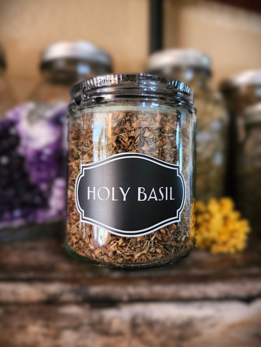 Holy Basil - Tulsi (organic)