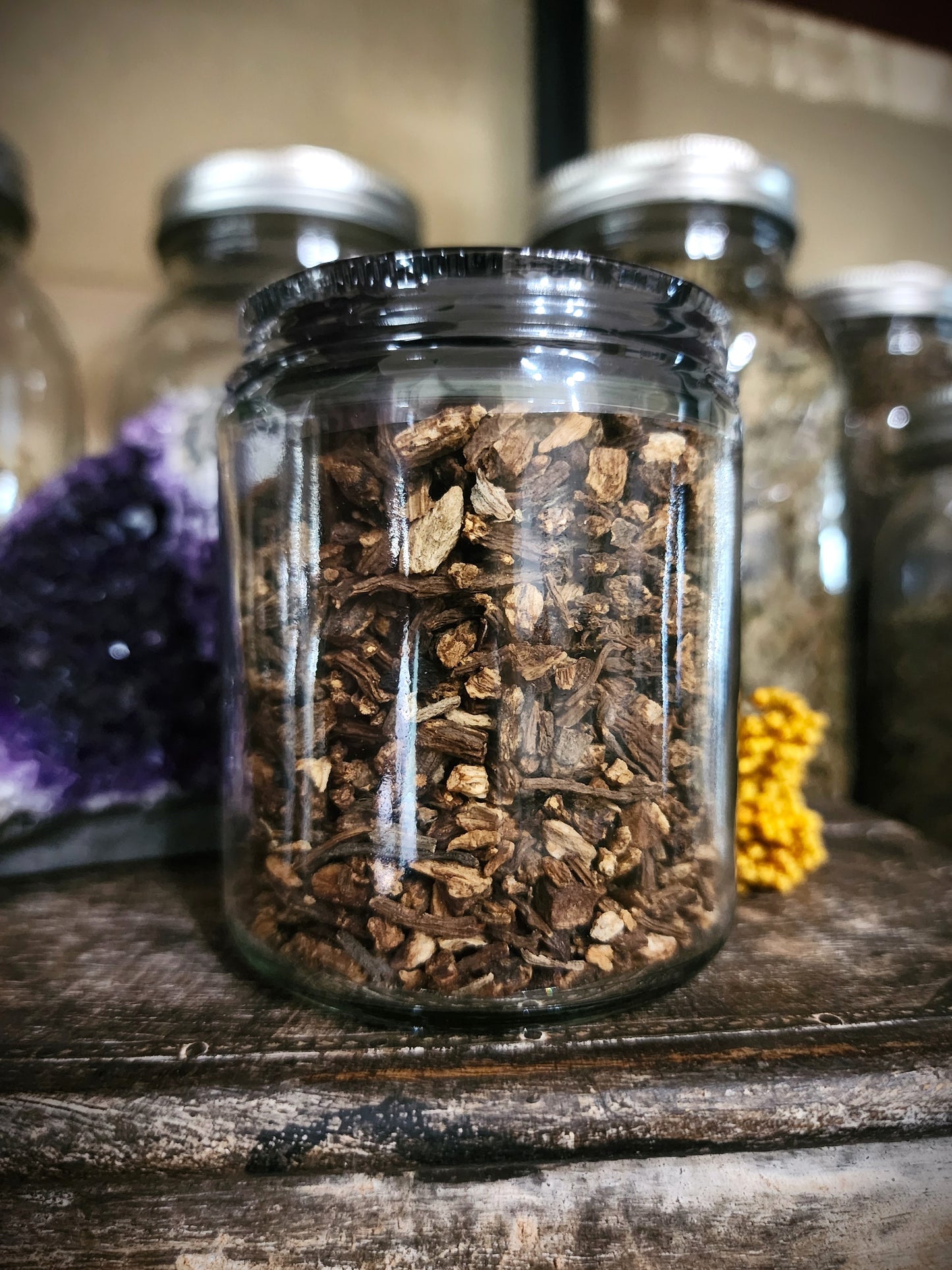 Angelica Root