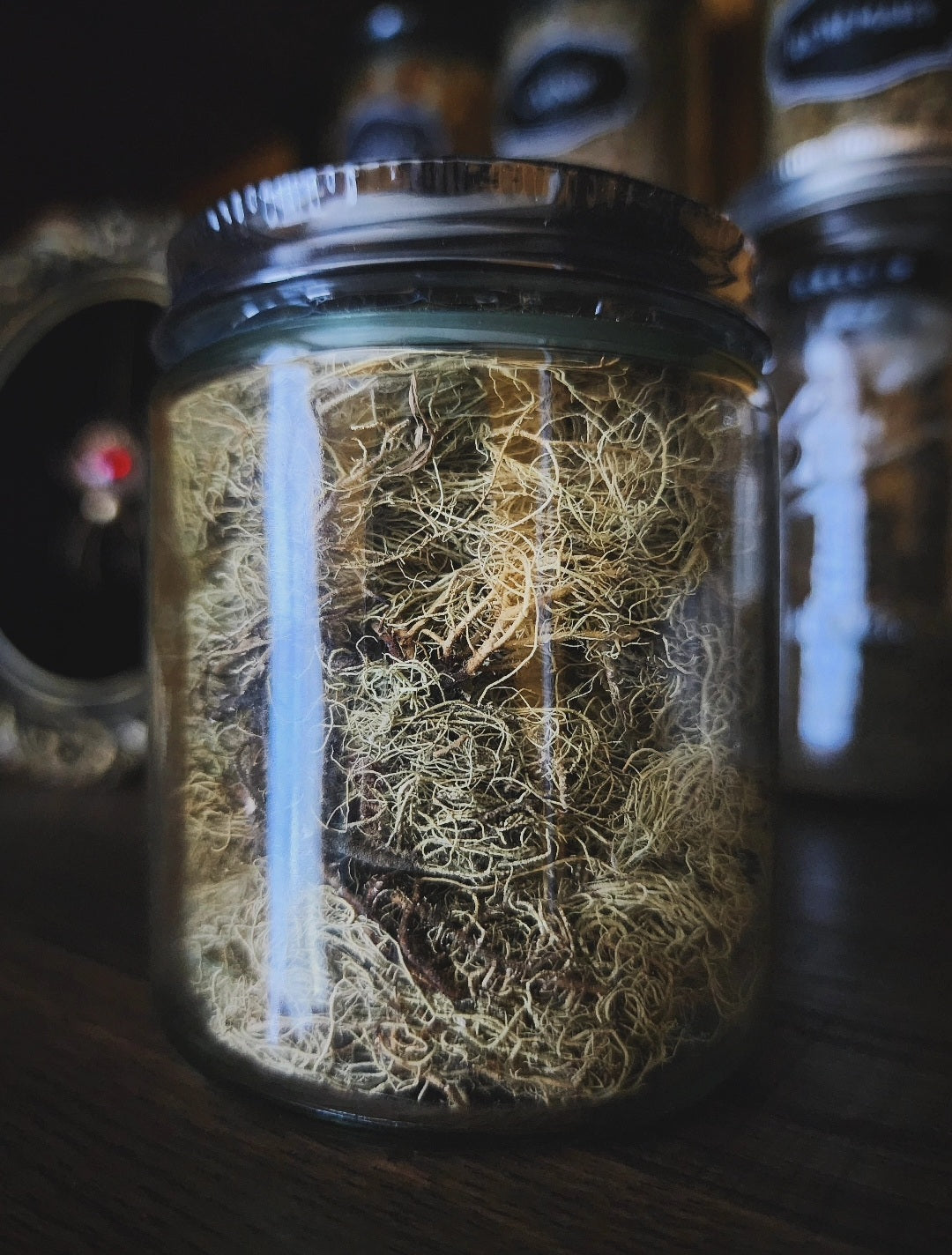 Usnea lichen (wild crafted)