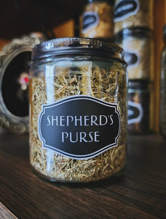 Shepherd's Purse (wild-crafted)