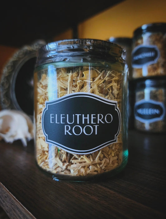 Eleuthero root