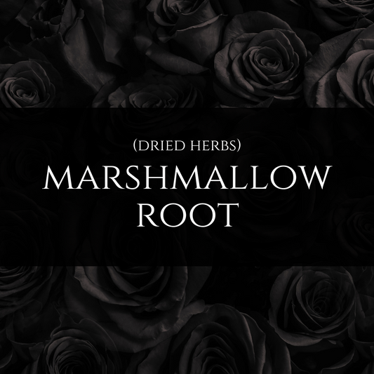 Marshmallow Root