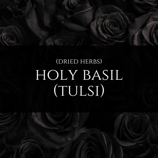 Holy Basil - Tulsi (organic)