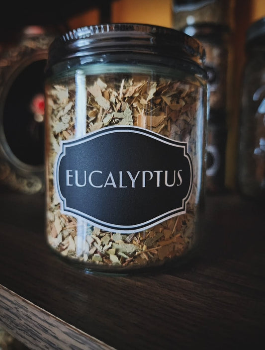 Eucalyptus leaf