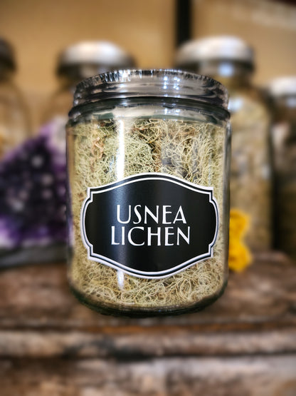 Usnea lichen (wild crafted)