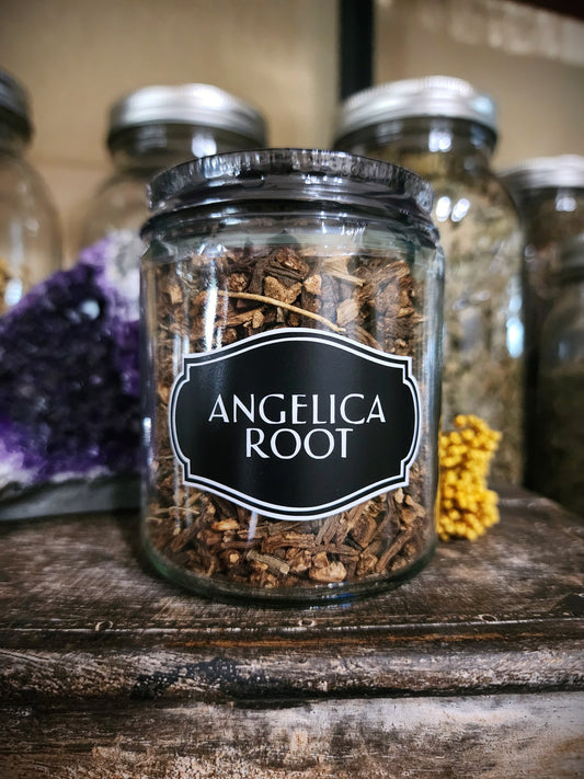 Angelica Root