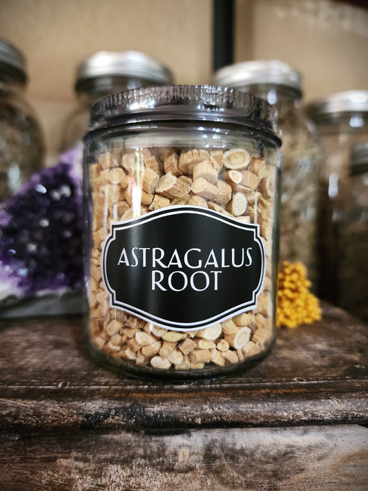 Astragalus Root