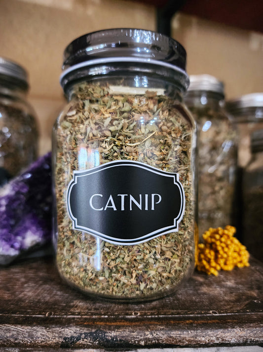 Catnip (organic)