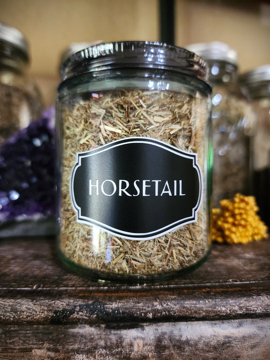 Horsetail aka Shavegrass (organic)