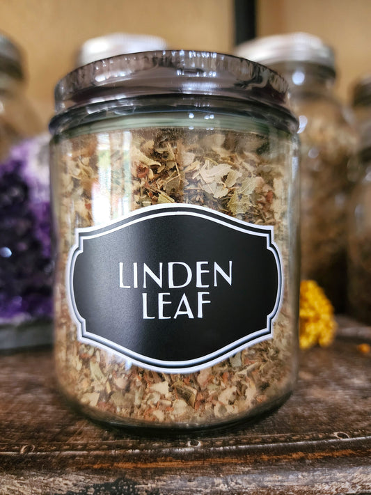 Linden leaf & flower