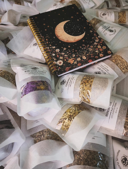 *Holiday Special* Apothecary in a Box Herbal Collection