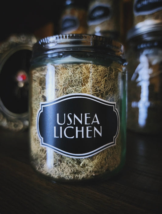 Usnea lichen (wild crafted)