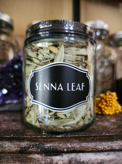 Senna leaf